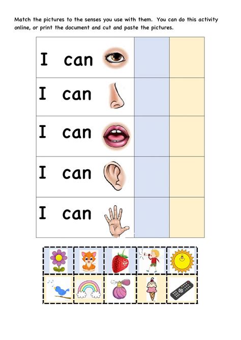 5 Senses Match Worksheet Five Senses Worksheet Kindergarten
