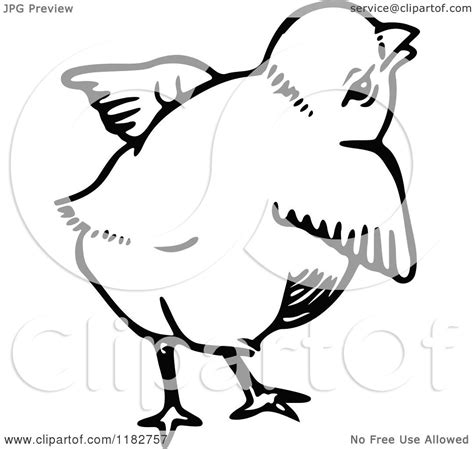 clipart of a black and white chick 4 royalty free vector illustration by prawny 1182757