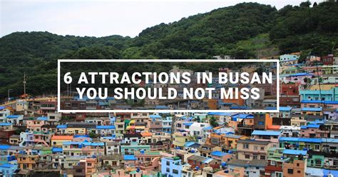 6 Attractions In Busan You Shouldnt Miss The Travel Intern