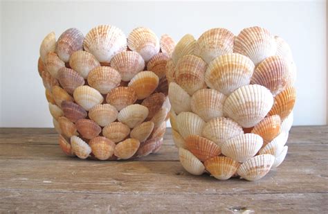 Diy Seashell Planter Billabong Us Plaj El Sanatları Deniz Kabuğuyla Yapılan El Işleri