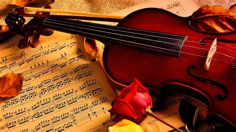 Violin Notes Rose Beauty Music Wallpapers Hd Desktop And Mobile