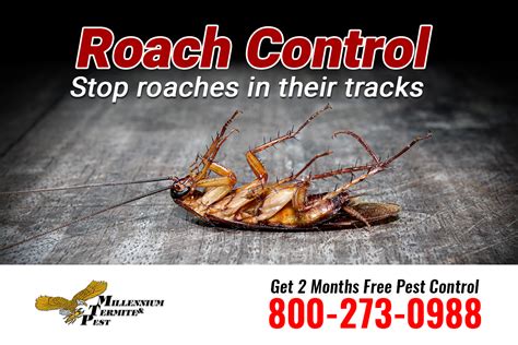 From fleas and wildlife to mosquitoes and reptiles, here are the best pest control services to help you sterilize your property. Roaches reproduce quickly and carry serious infectious ...