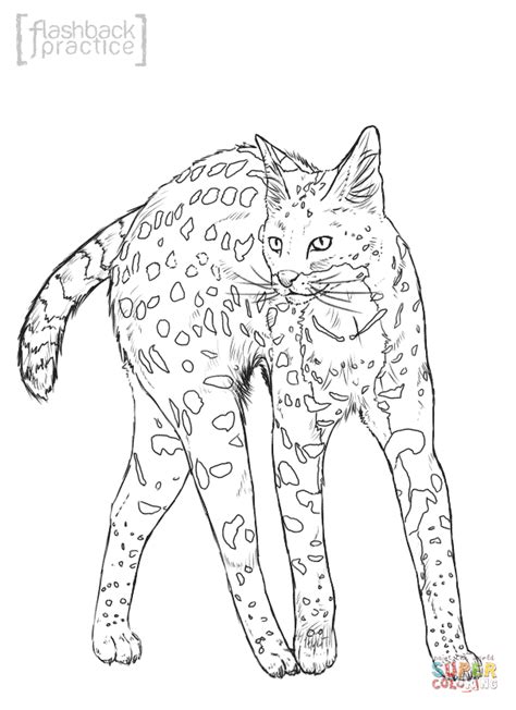 Wild Cats Coloring Pages Free Coloring Pages Coloring Home