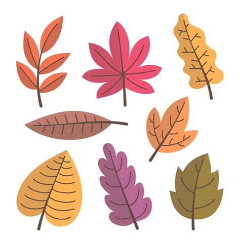 Premium Vector Autumn Leaves Collection