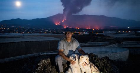 Living In A Volcanic Eruption On La Palma Gallery News Uae Times
