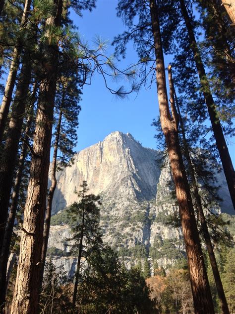 Yosemite And The First National Park Huffpost Life