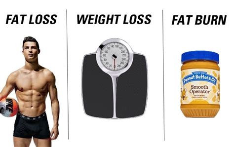Fat Loss Weight Loss And Fat Burning Learn The Difference Mindsets