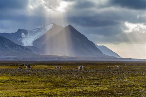 Svalbard Travel Norway Lonely Planet