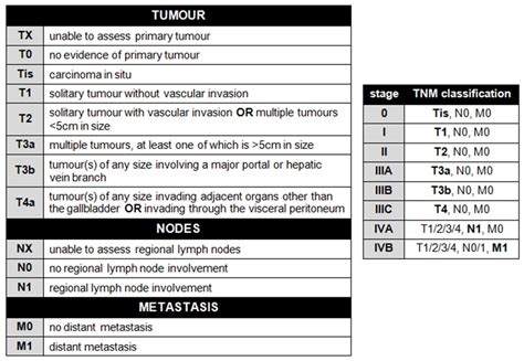 Analyses for both classifications are summarized in table 2. Tnm Cancer - SEONegativo.com