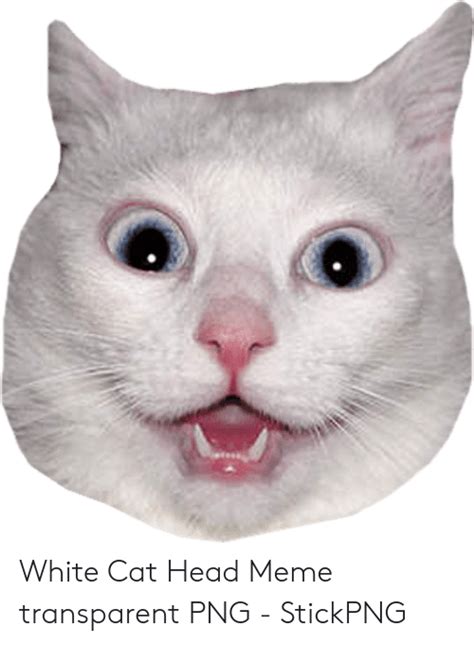 Meme Sad Cat Face Transparent