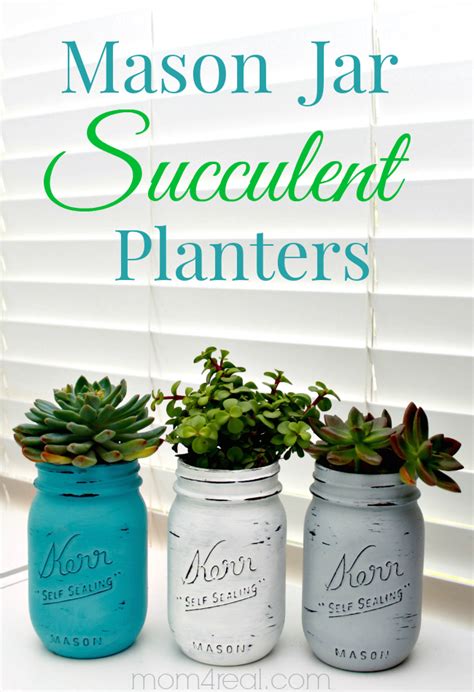 29 Amazing Succulent Planting Ideas Mom 4 Real