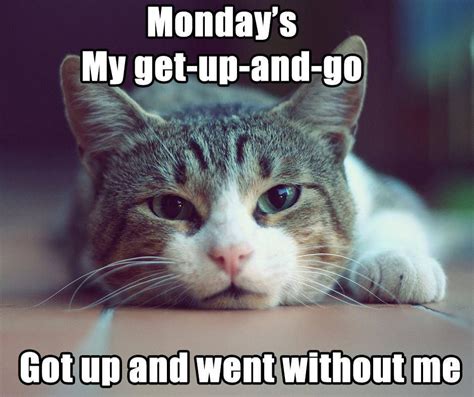 Mondays My Get Up And Go Got Up And Went Without Me Mondayblues