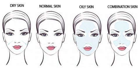 Skin Types And How To Identify Yours In 2020 Skin Types How To Find