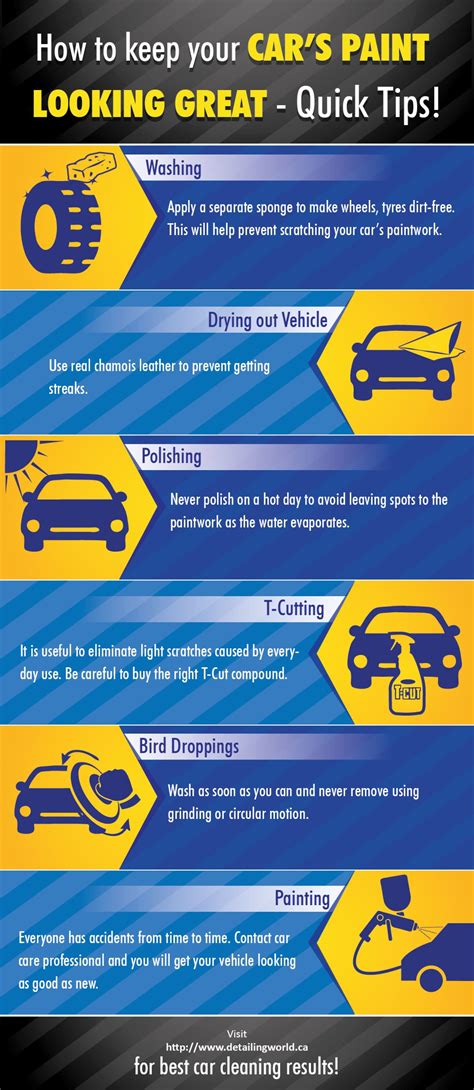 How To Keep Your Cars Paint Looking Great Quick Tips Infographic Car