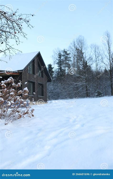 Barnhouse Wooden House In Modern Style With Large Windows In Winter