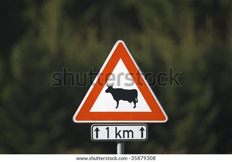 Traffic Sign Symbol Warning Cows Cattle Stock Photo 35879308 Shutterstock