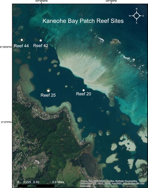 Kāneʻohe Bay With The Four Targeted Patch Reefs Indicated Download
