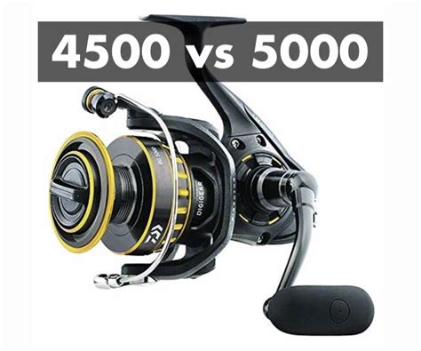 Daiwa Bg Vs Important Differences