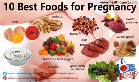 10 Best Foods For Pregnancy It Is Important To Eat Healthy During