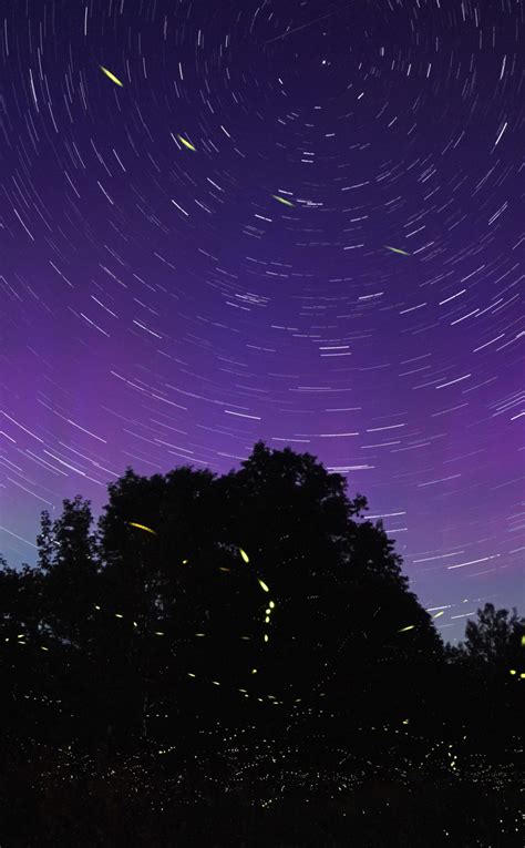 Download Wallpaper 950x1534 Starry Sky Night Blur Silhouette Star