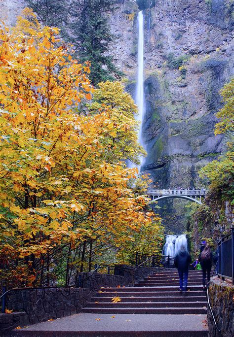 Multnomah Falls In Fall Colors 121319 Photograph By Rospotte