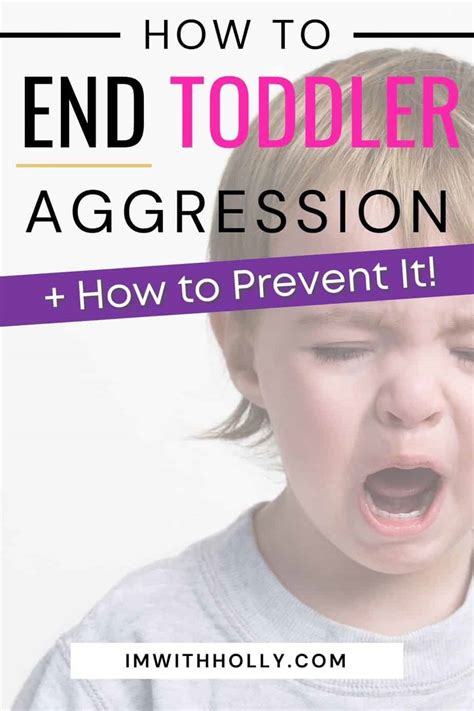 9 Tips To Deal With Toddler Aggression Prevention And How To Guide