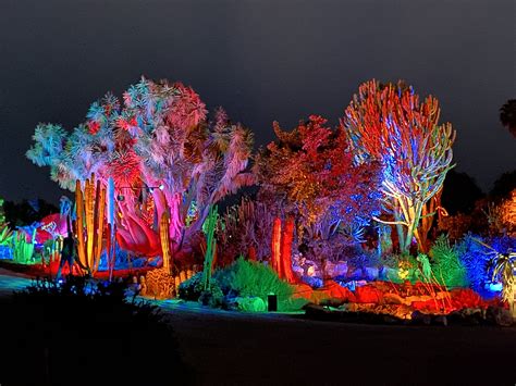 South Coast Botanical Gardens Glow A Visually Stunning Light Exhibit