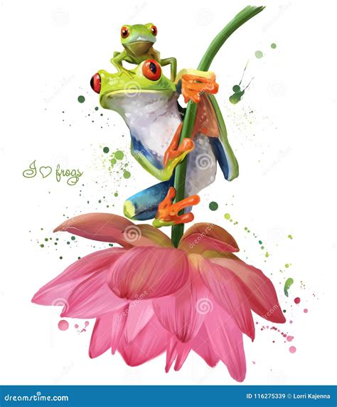 Frogs Cartoon Vector 15998865