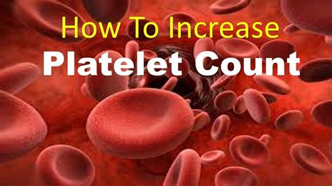 How To Increase Platelet Count With Natural Home Remedies Fastly