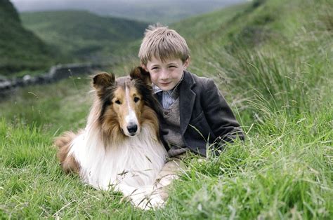 Lassie Hund Film Zoyneromi