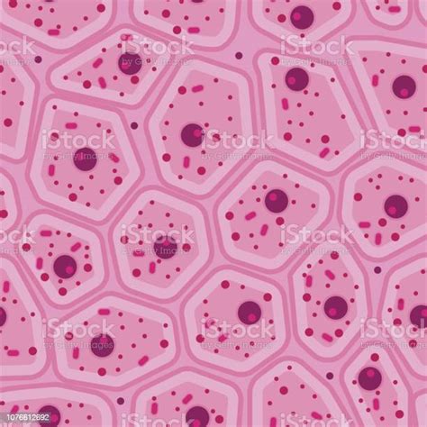 Pink Human Skin Cell Vector Seamless Pattern Stock Illustration