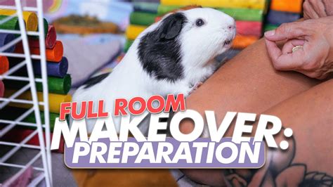 Preparation For FULL Guinea Pig Room Makeover Organizing Cleaning