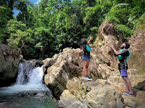 Puerto Rico El Yunque Rainforest Waterfalls Half Day Tour GetYourGuide