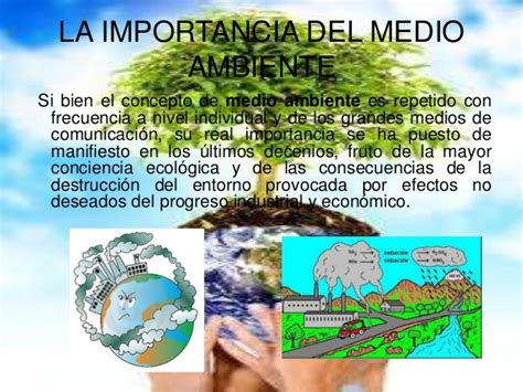 El Medio Ambiente Cual Es La Importancia Del Medio Ambiente