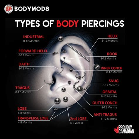 Types Of Body Piercings Bodymods