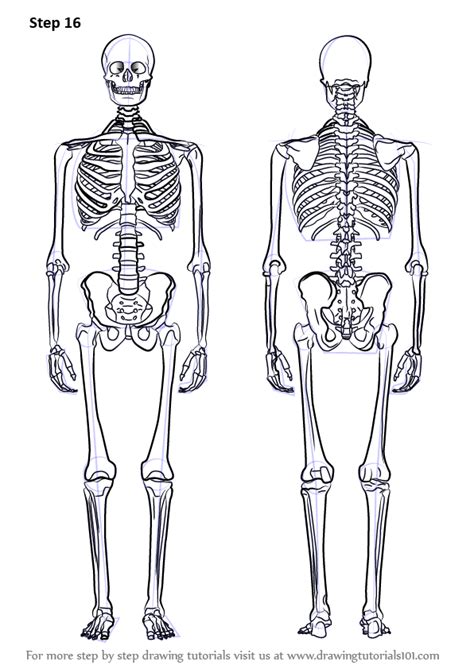 How To Draw A Skeleton Skeleton Art Drawing Cool Art Drawings Art