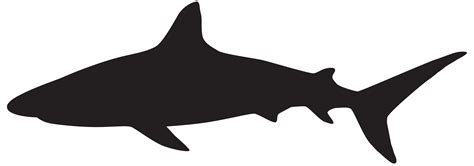 Great White Shark Silhouette Clip Art Sharks Png Download 80002808