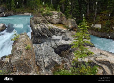 Natural Bridge Twisted Rocks On Kicking Horse River Kootenay National