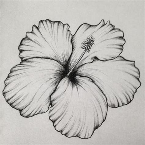 42 Simple And Easy Flower Drawings For Beginners Cartoon District