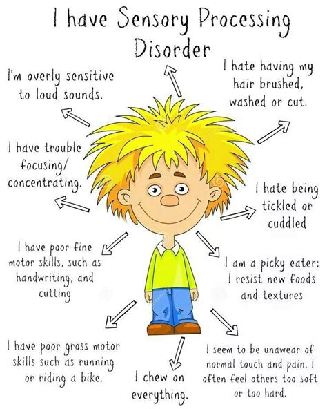 Sensory Processing Disorder Diagram Special Needs Parenting