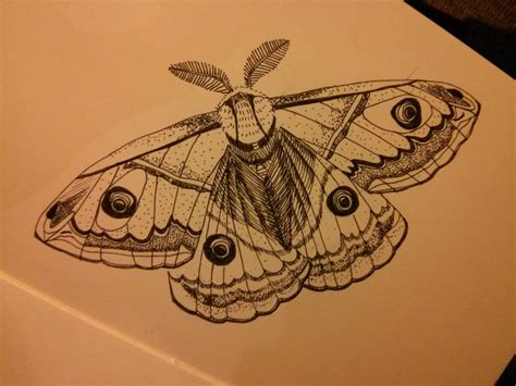 A Drawing Of A Moth On Top Of A Piece Of Paper With An Eyeball In It