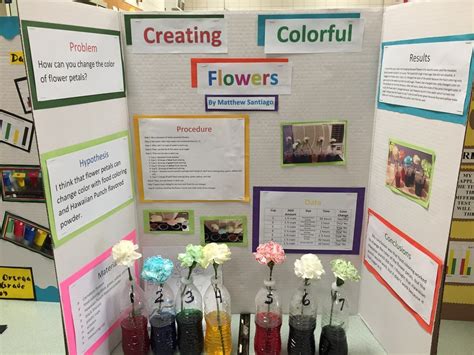 Image Result For Science Fair Projects Color Changing Flowers Science