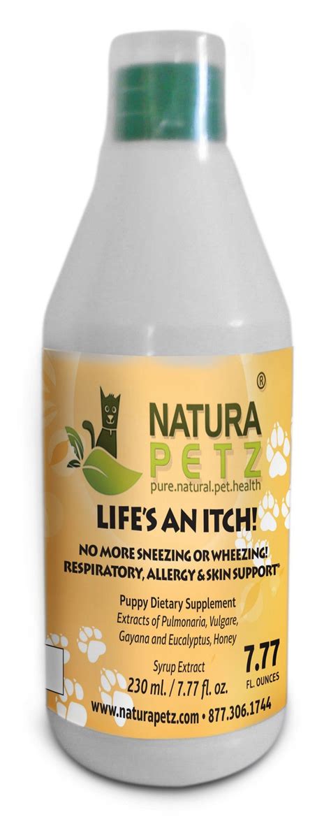 Like human sneezing, kitten sneezing can mean momentary irritation or something serious. Life's An Itch - No More Sneezing or Wheezing ...