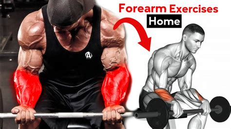 Best 5 Forearm Exercises For Big Forearms Full Forearm Workout