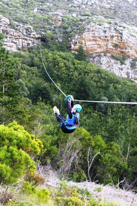 Ziplines Cape Town · Sa Forest Adventures