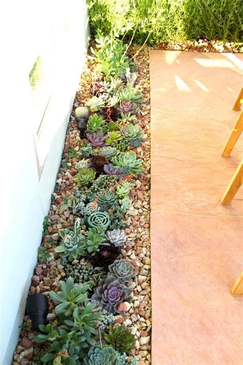 Amazing Succulent Garden Ideas You Shouldnt Miss Page 2 Of 3