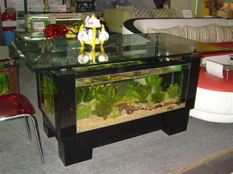 Alaterre furniture coventry coffee table. Aquarium Coffee Table For Sale | Roy Home Design