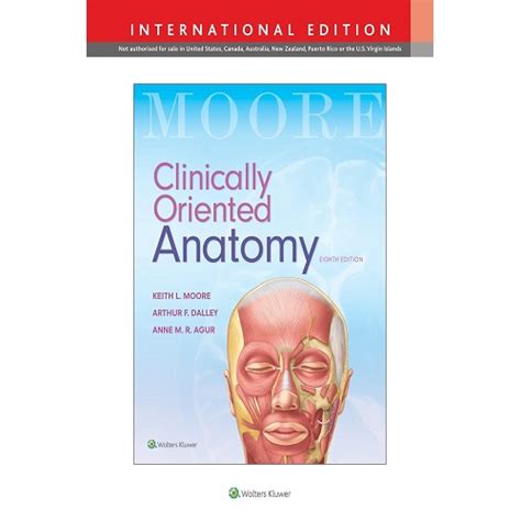 Clinically Oriented Anatomy 8th Edition By Keith L Moore Msc Phd Hon