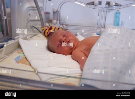 New Born Premature Baby In Incubator Neonatal Intensive Care Unit