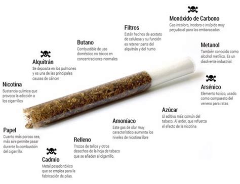 Componentes Del Tabaco Cigarro Y Cigarrillo Qué Contiene El Cigarro